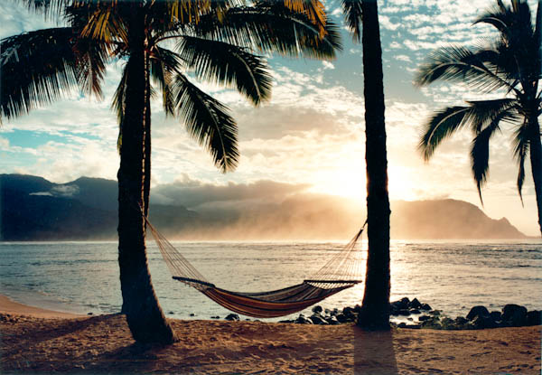 Beach hammock